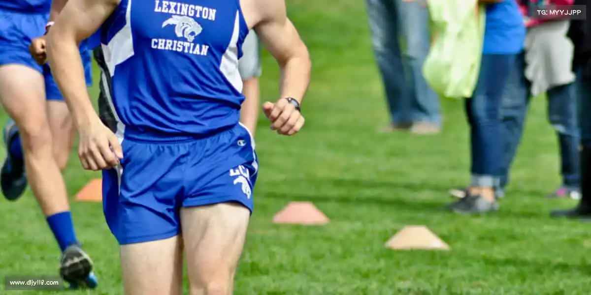 <strong>x7x7和任意噪入口入口</strong>解锁影像无限可能，让每个创意都闪耀银幕🌟